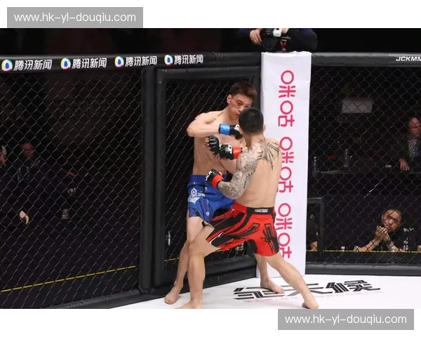 筑梦强者：综合格斗训练基地，让每一次出拳都充满自信